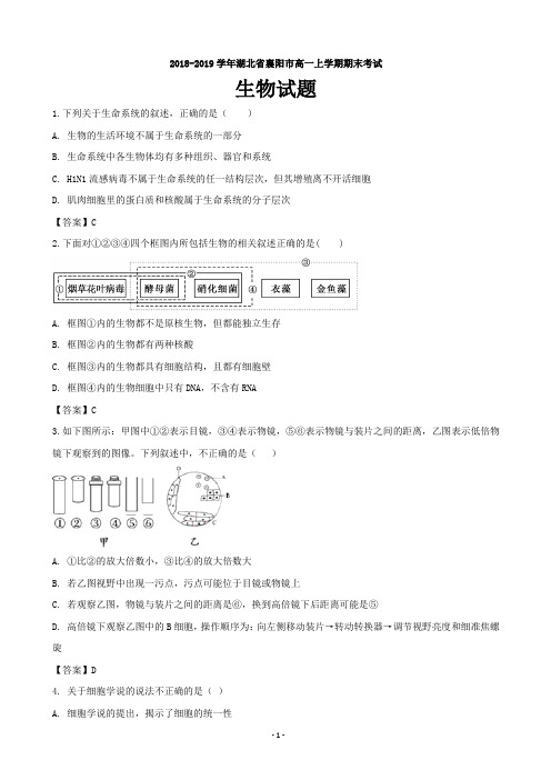 2018-2019学年湖北省襄阳市高一上学期期末考试生物试题(word版)