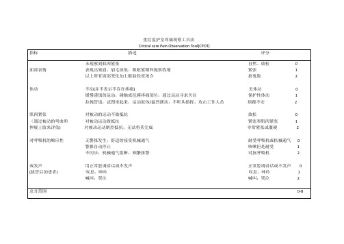 CPOT评分表