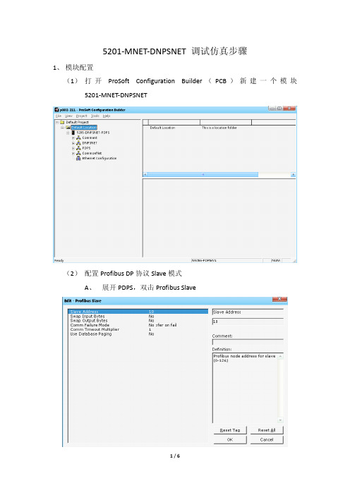 Prosoft公司5205-DNPSNET-配置