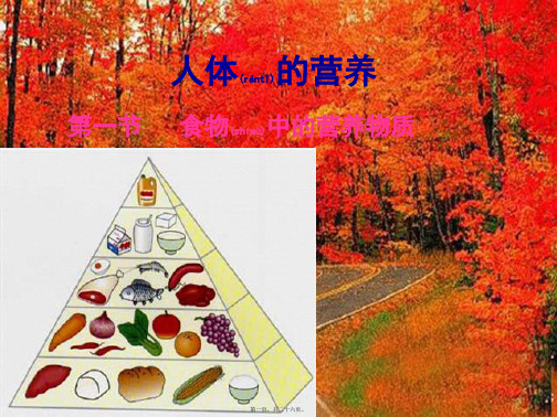 九年级化学下册13.1《食物中的营养物质》1