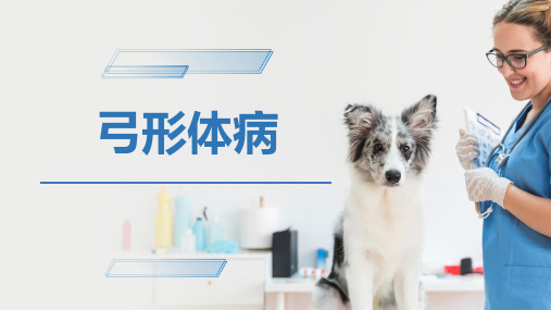 犬猫的寄生虫病(弓形体病)-宠物医生课件