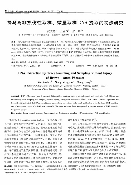 褐马鸡非损伤性取样、微量取样DNA提取的初步研究