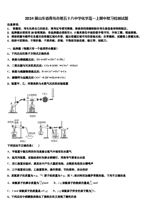 2024届山东省青岛市第五十八中学化学高一上期中复习检测试题含解析