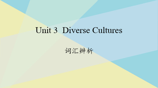 15《Diverse Cultures》词汇辨析  PPT教学课件