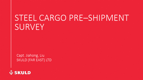 钢材监装检验 Steel preloading survey