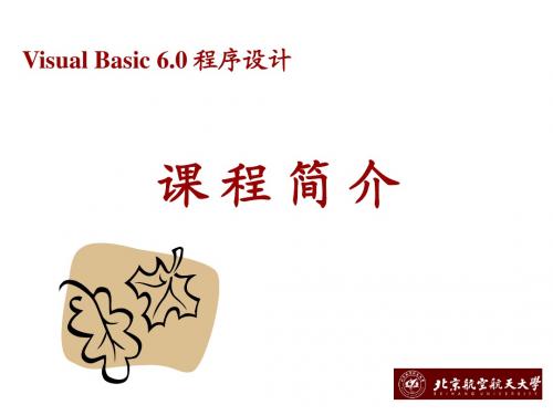 Visual Basic 6.0 课程简介