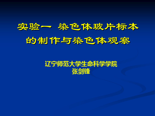 实验一染色体玻片标本的制作与染色体观察培训资料