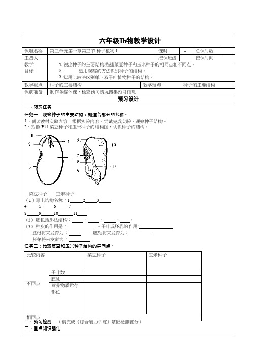 初中生物《种子植物》优质课教案、教学设计