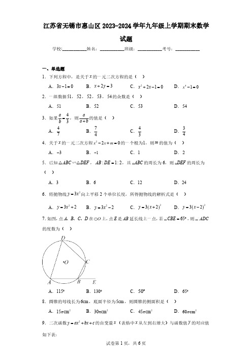 江苏省无锡市惠山区2023-2024学年九年级上学期期末数学试题(含解析)