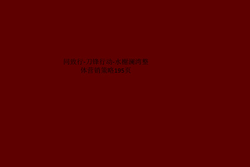 同致行-刀锋行动-水榭澜湾整体营销策略195页