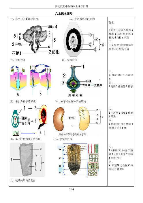 济南版初中生物八上课本识图