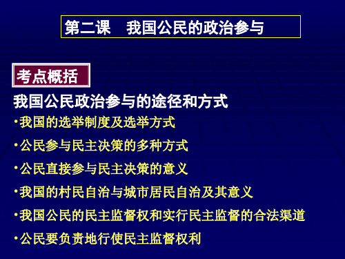 我国公民政治参与的途径和方式