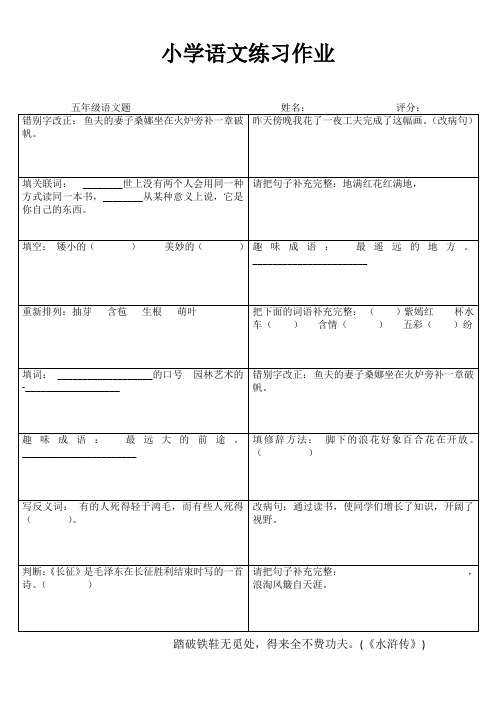 小学五年级语文精作细练II (20)