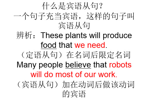 什么是宾语从句？.ppt