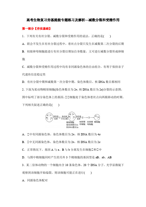 高考生物复习夯基提能专题练习及解析—减数分裂和受精作用