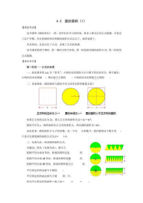 4.3  圆的面积