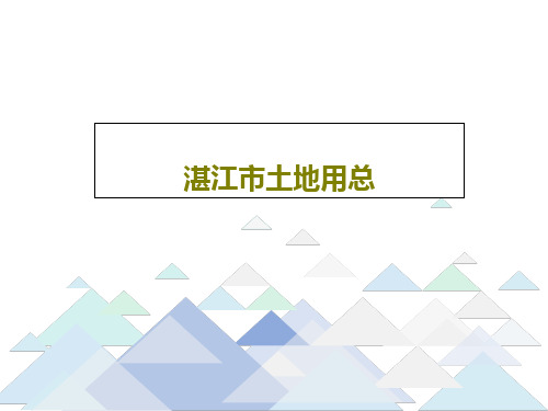 湛江市土地用总共19页文档