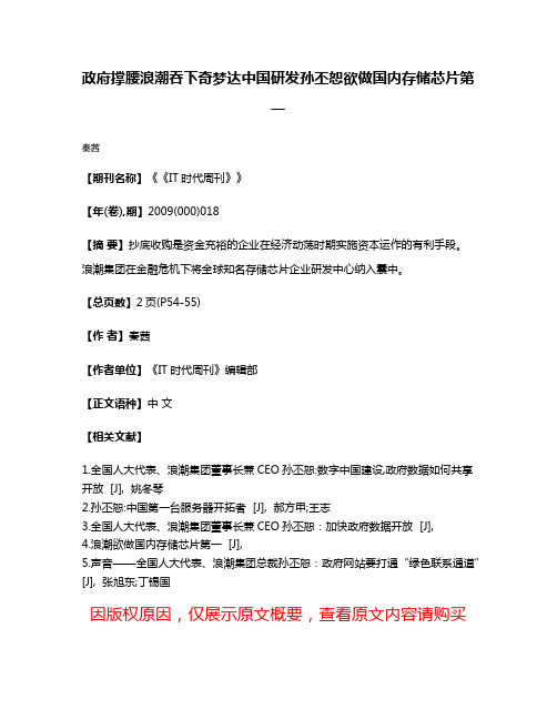 政府撑腰浪潮吞下奇梦达中国研发孙丕恕欲做国内存储芯片第一