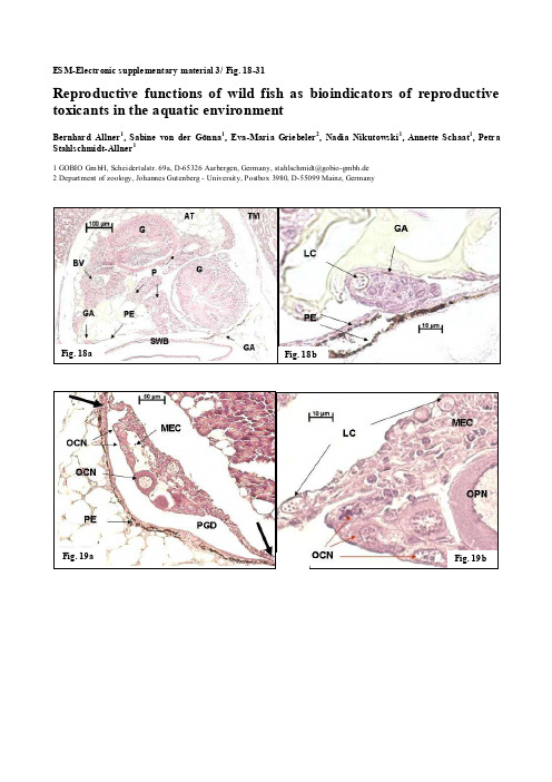 ESM-Electronicsupplementarymaterial3fig