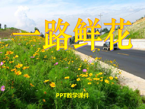 语文二下《一路鲜花》