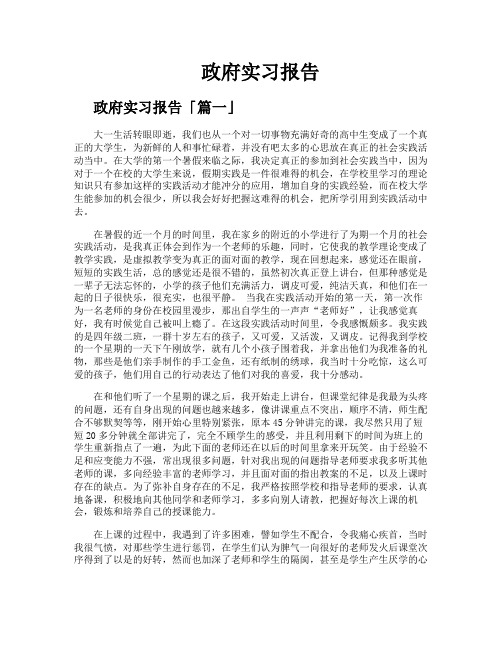 政府实习报告