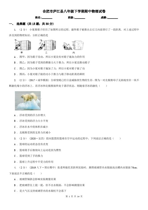 合肥市庐江县八年级下学期期中物理试卷  