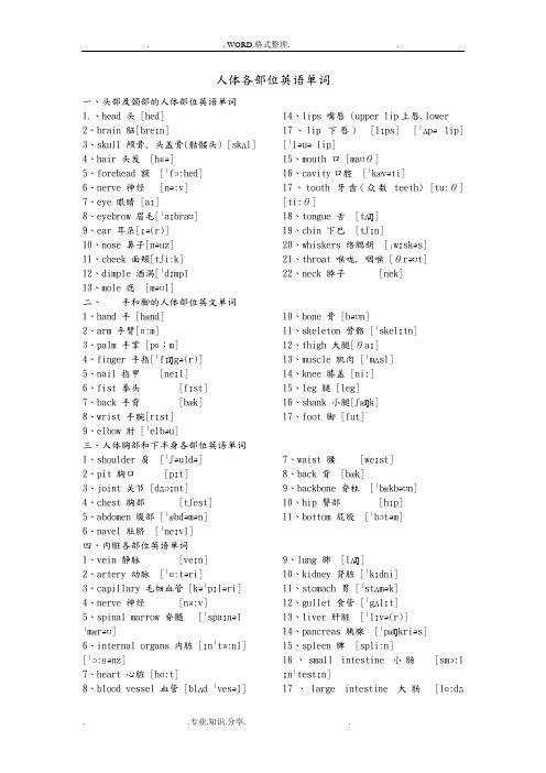 人体各部位英语单词[含音标]
