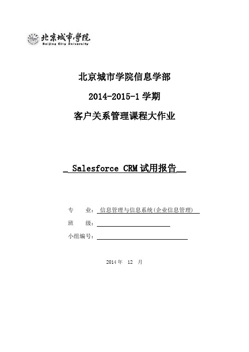 SalesforceCRM试用报告