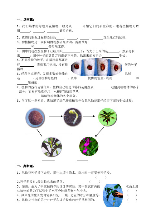 三年级科学下册第一单元测试题