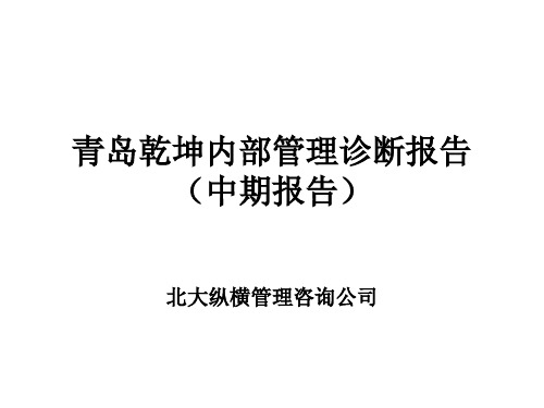 某咨询青岛乾坤内部管理诊断报告