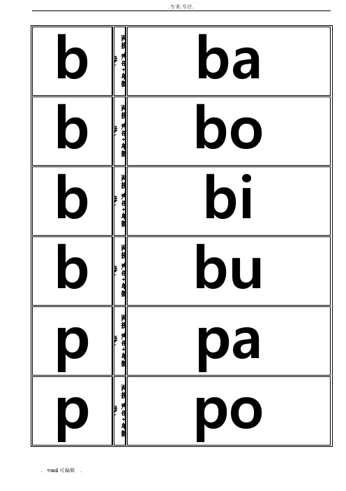 汉语拼音音节卡片