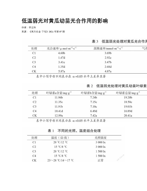 低温弱光对黄瓜幼苗光合作用的影响