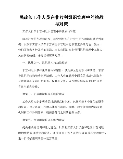 民政部工作人员在非营利组织管理中的挑战与对策