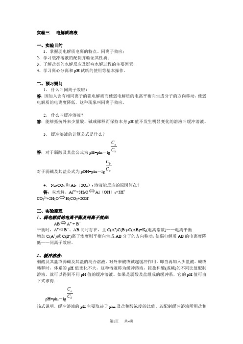 高中化学 实验三电解质溶液