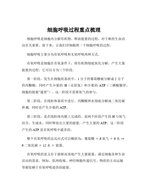 细胞呼吸过程重点梳理