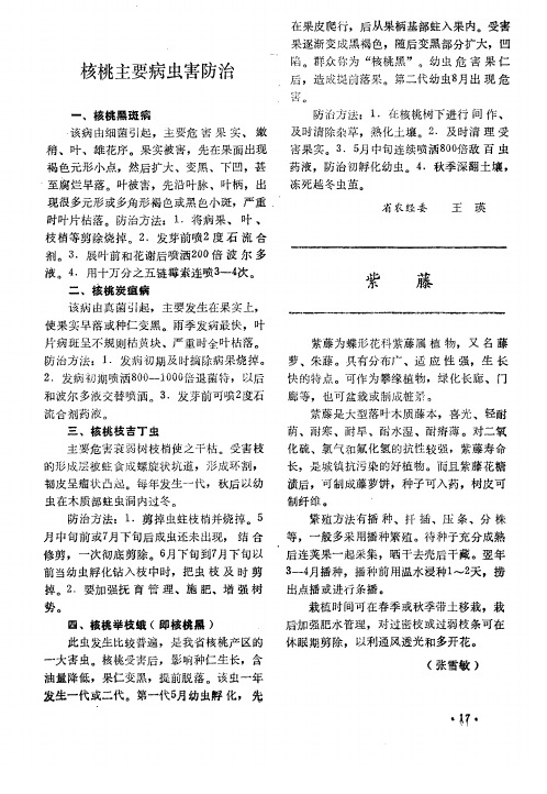 核桃主要病虫害防治