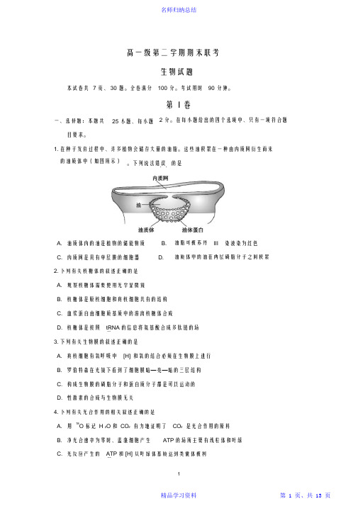 【精编】高一下学期期末考试生物试卷(含答案)2021