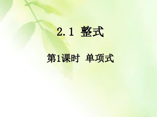 人教版七年级数学上册单项式课件