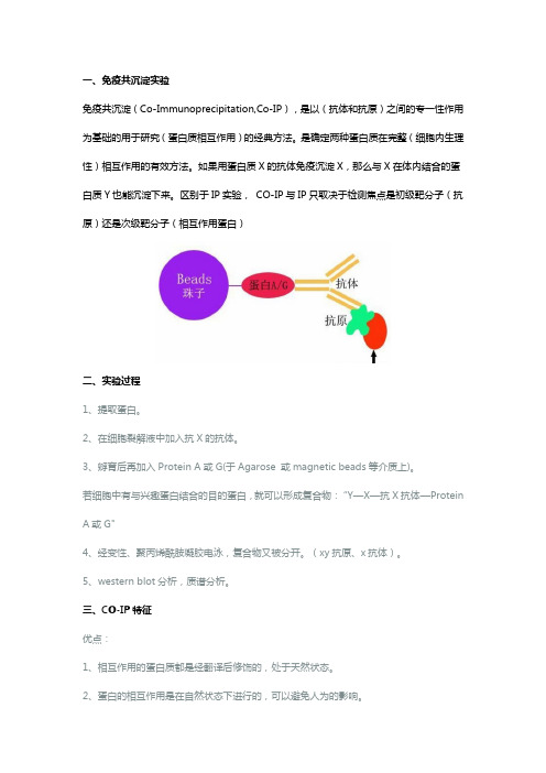 深层次了解免疫共沉淀(CoIP)