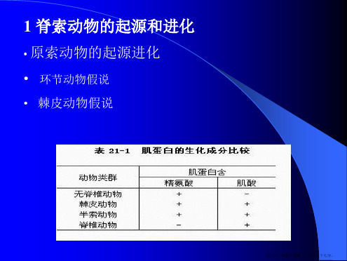 章脊索动物的起源和演化