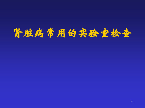 肾内科讲稿ppt课件