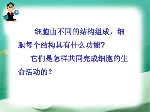 冀少版生物七年级上册 1.2.1 细胞-观察细胞 课件 (1)