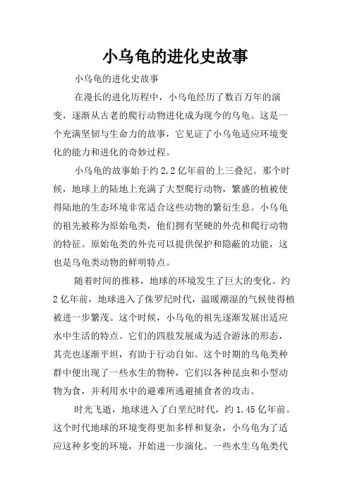 小乌龟的进化史故事