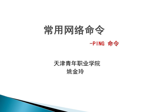 PING命令的使用ppt