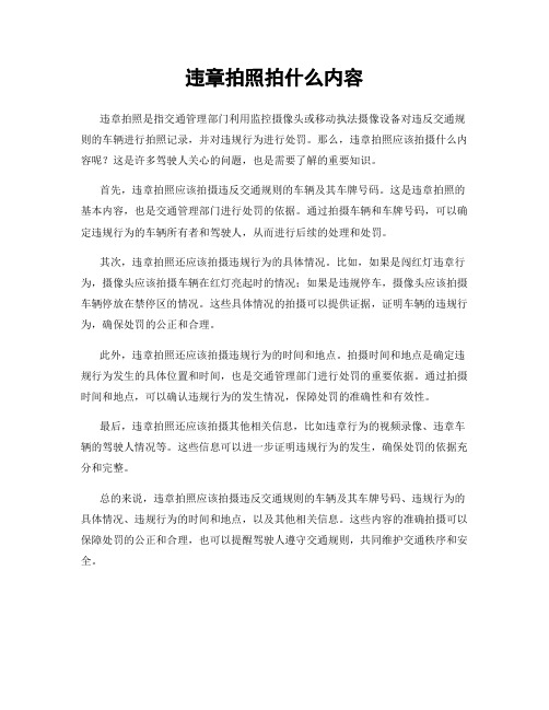 违章拍照拍什么内容