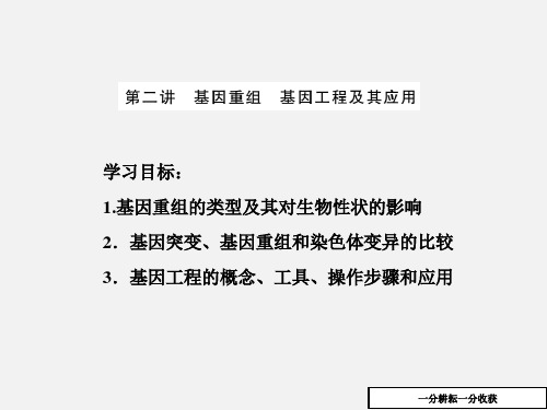 高一生物苏教版必修二课件：第四章_第四节_第二讲_基因重组_基因工程及其应用