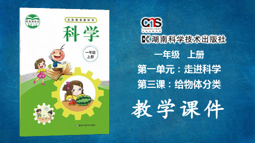 湘教版小学科学一年级上册1-3给物体分类(教学课件)
