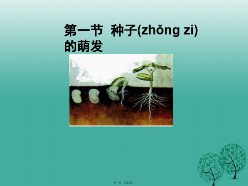 七年级生物上册第三单元第二章第一节种子的萌发教学课件(新版)新人教版