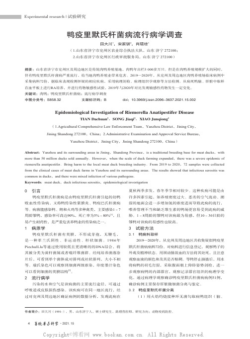 鸭疫里默氏杆菌病流行病学调查