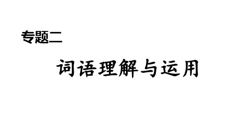 部编版语文八年级上册专题二 词语理解与运用